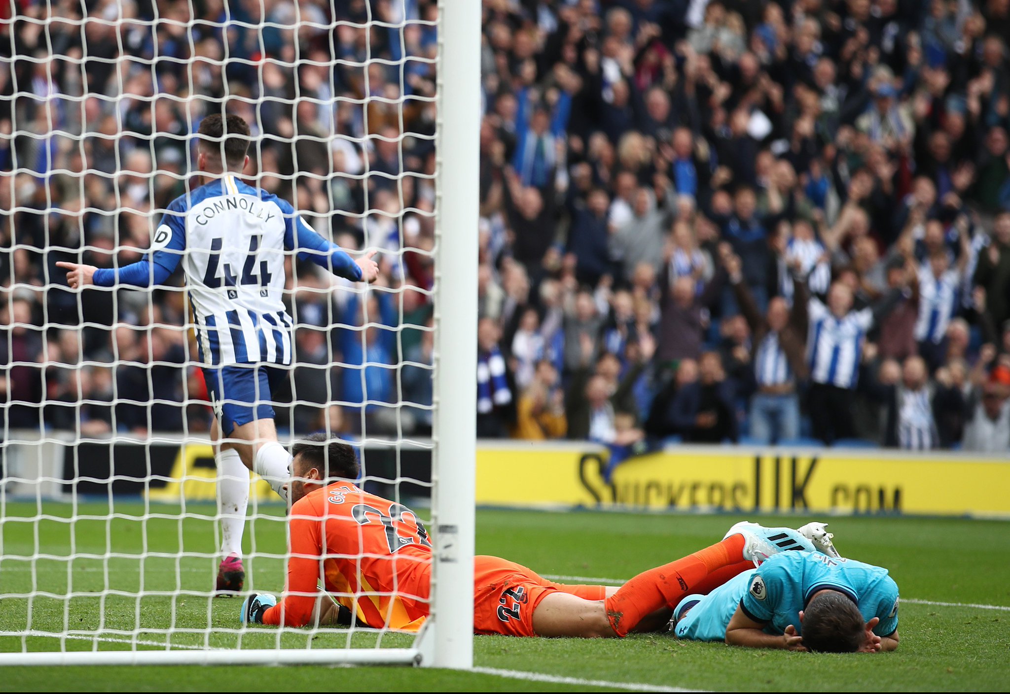 貌性的表达 貌性的表达